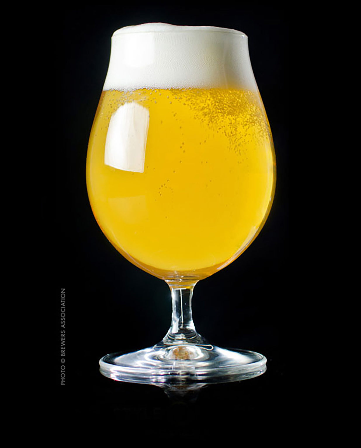 blonde ale glass