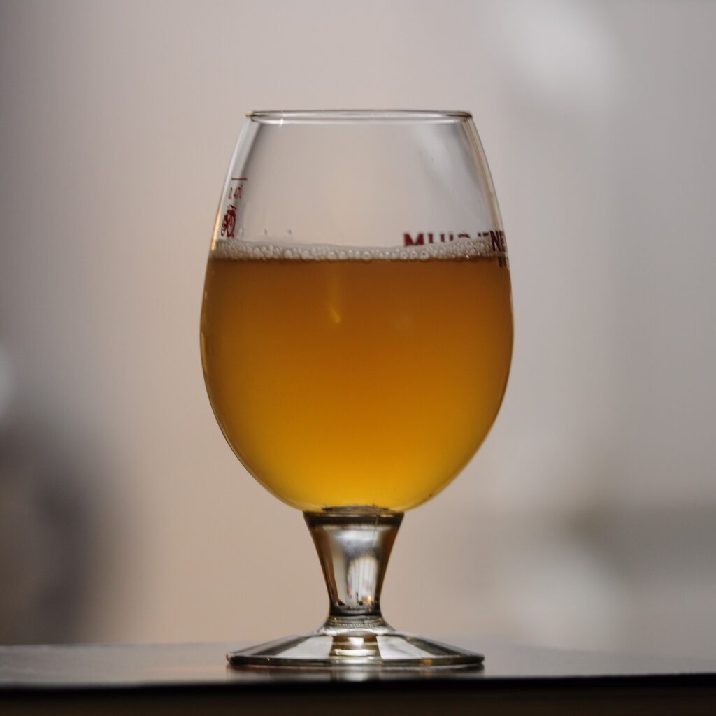 A glass of homebrewed beer — illustrative beer photograph