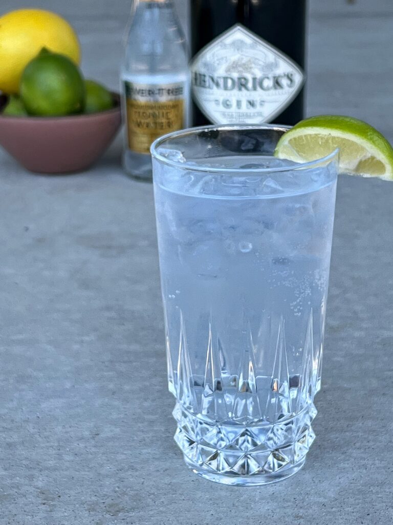 Gin and Tonic cocktail